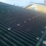 Snörasskydd för etenittak