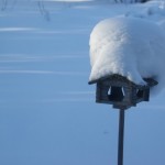 Hur kan det hålla så mycket snötyngden